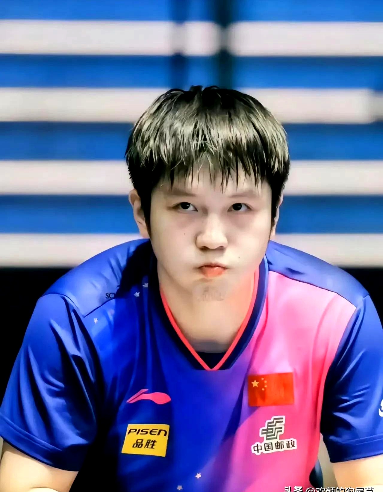 波兰队绝杀中国队,樊振东状态火热 波兰队绝杀中国队,樊振东状态火热