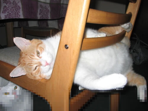 奥林匹斯山巅的咆哮，字母哥关键制胜，劈开奥运周期命运之门