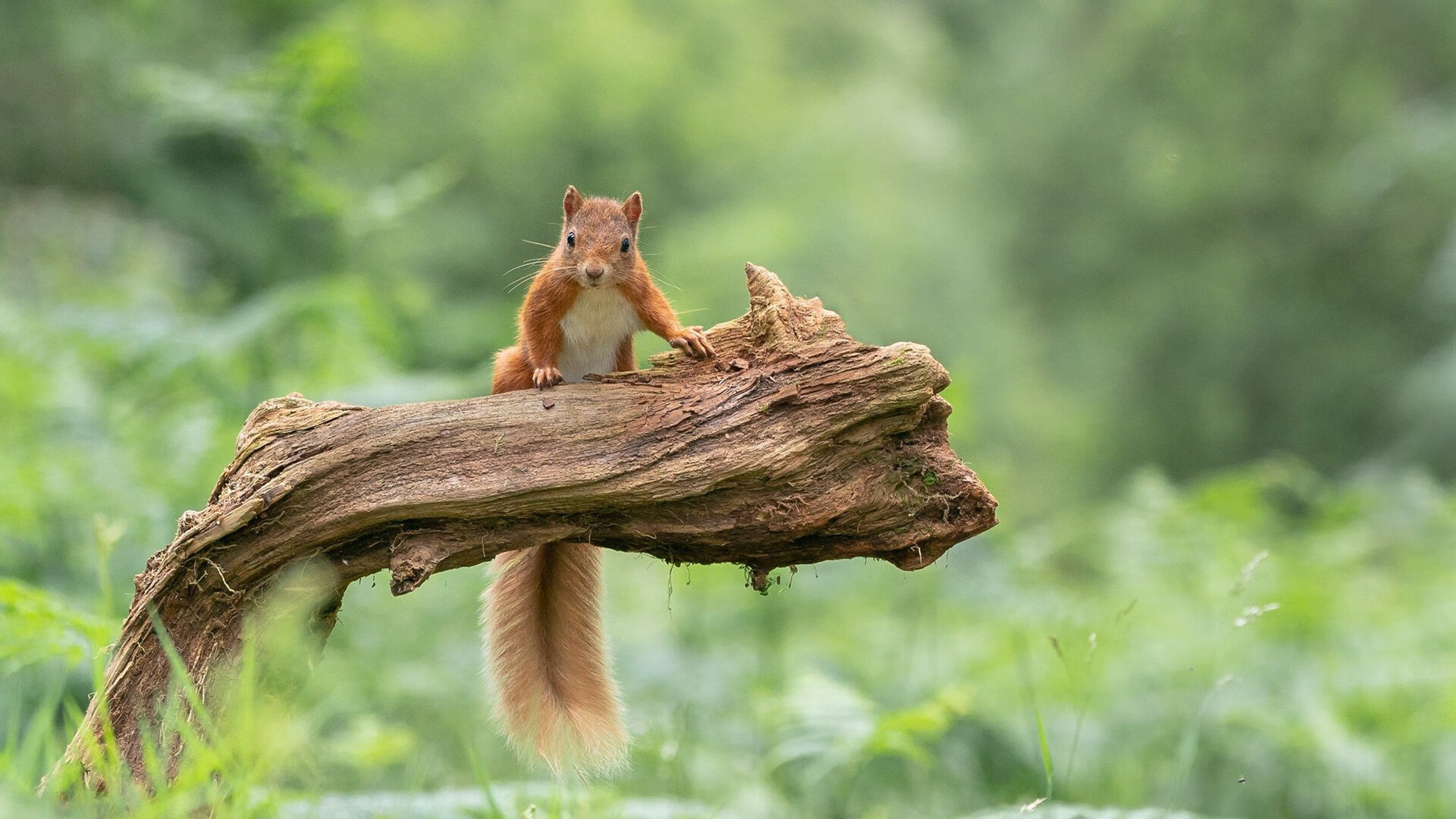 时空折叠之夜，当杜兰特的死神镰刀划过深圳体育馆