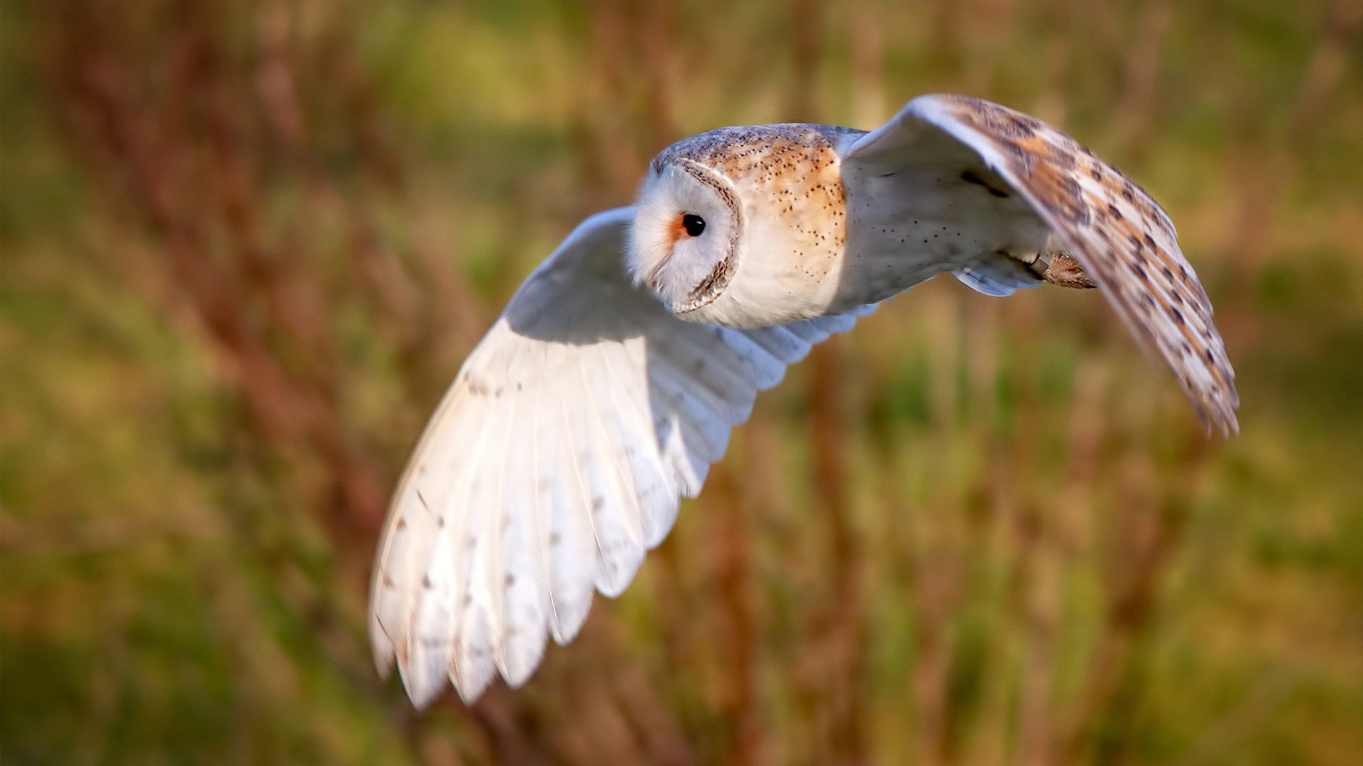 梦幻跨界，NBA太阳队季后赛式完胜广东宏远