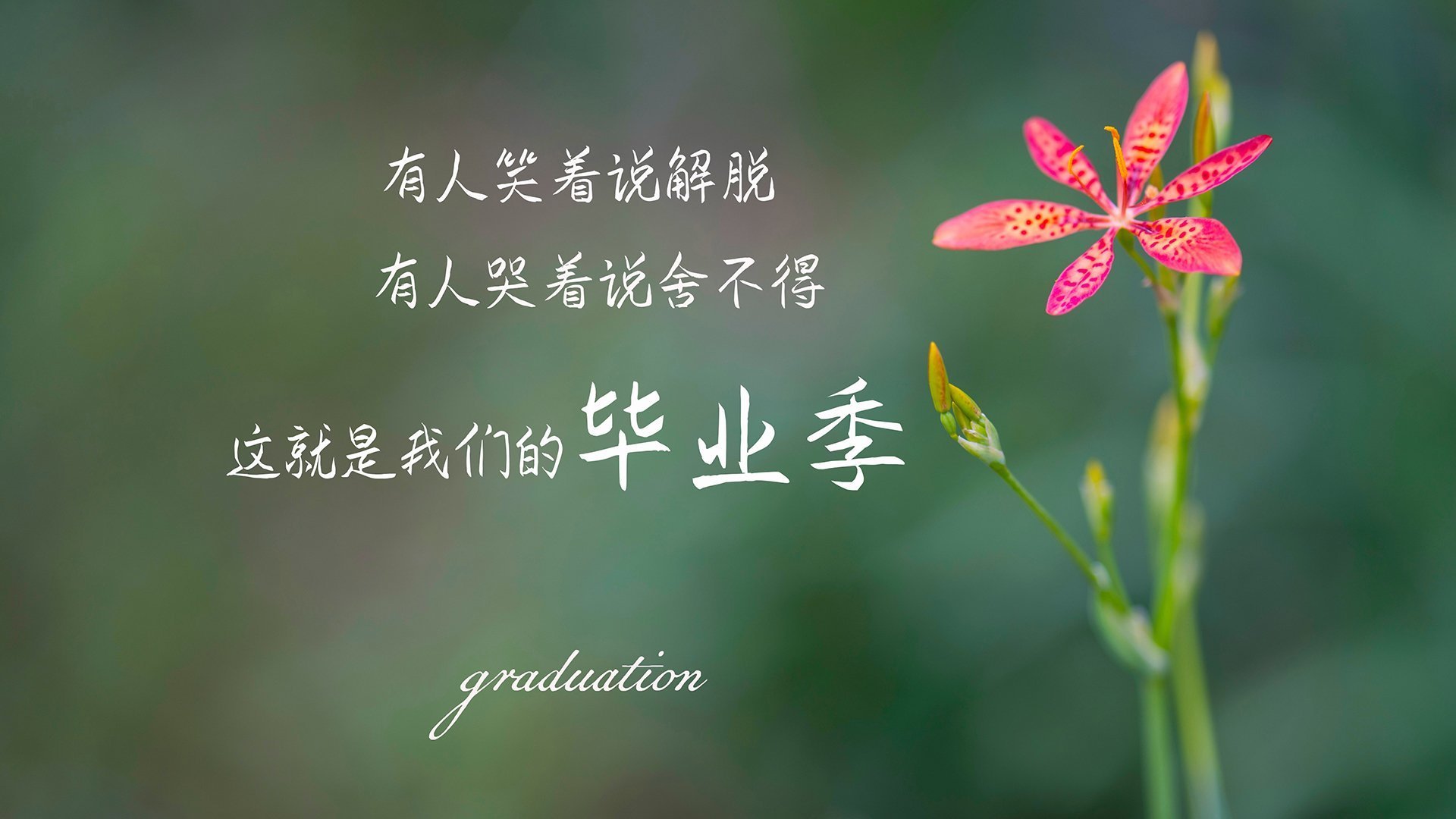 足球场上的一波流，当意甲焦点战遇见马刺式终结