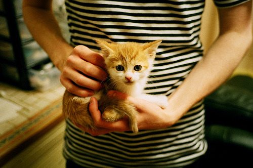 极速跨界，当小贾伦的统治力降临F1之夜