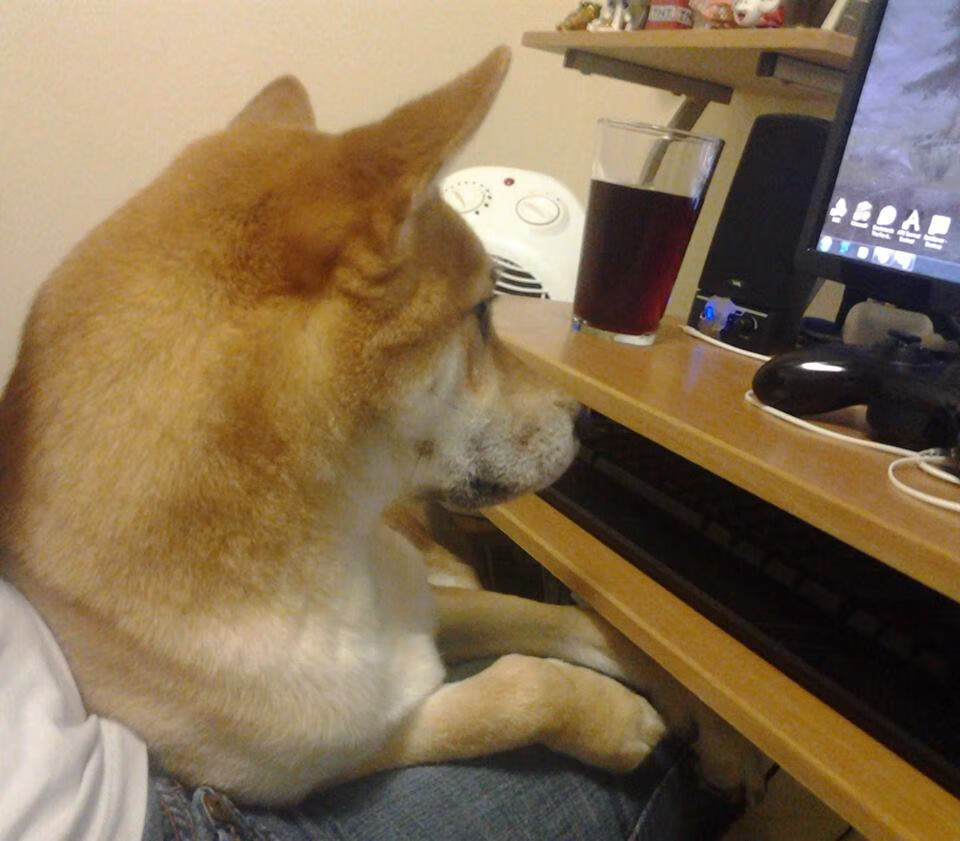 跨界为王!篮球巨星空降足球场,詹姆斯一传一射决定双森对决