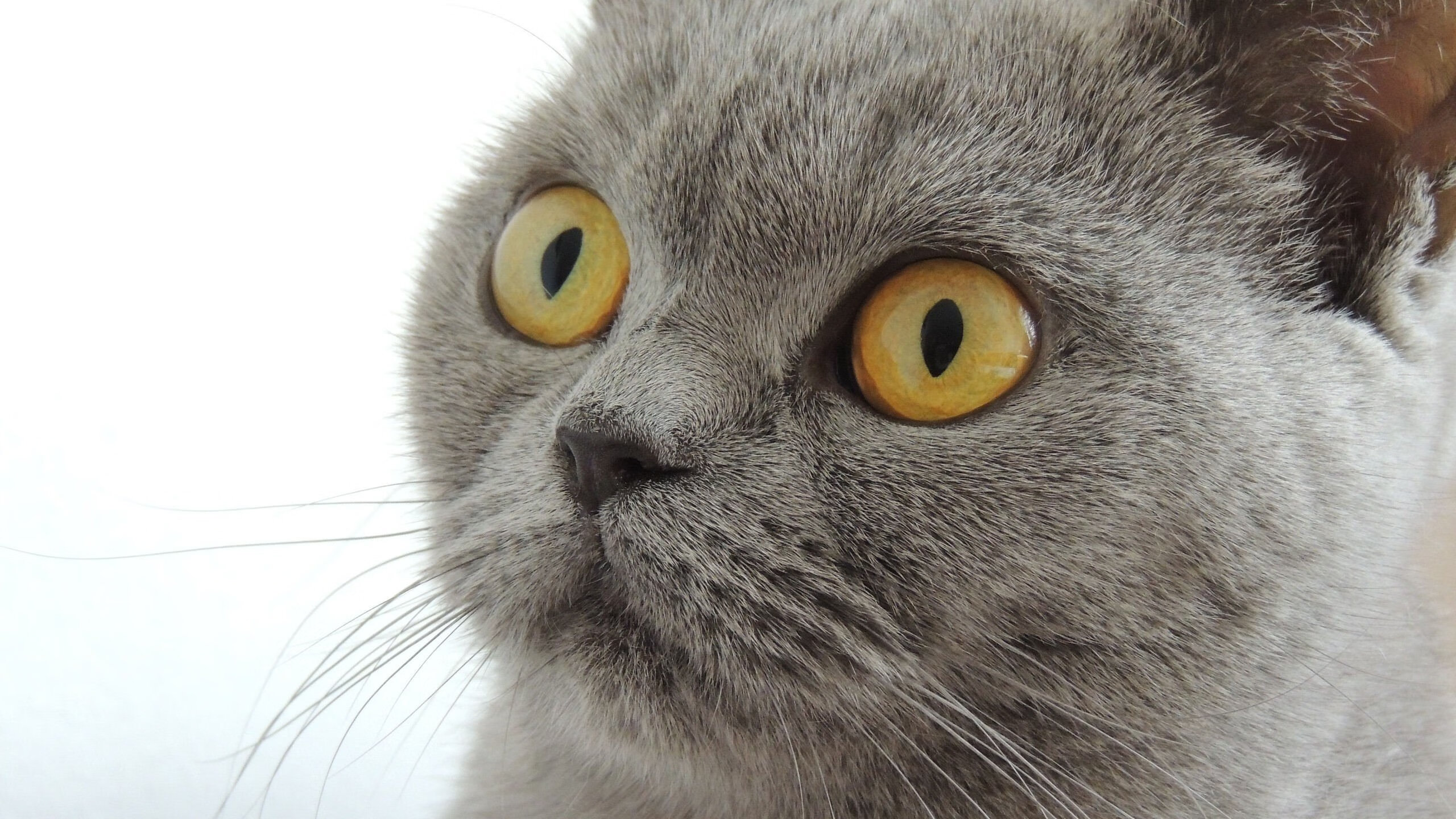 数据核爆!皮克天神下凡撕裂阿森纳,一场比赛颠覆足球认知