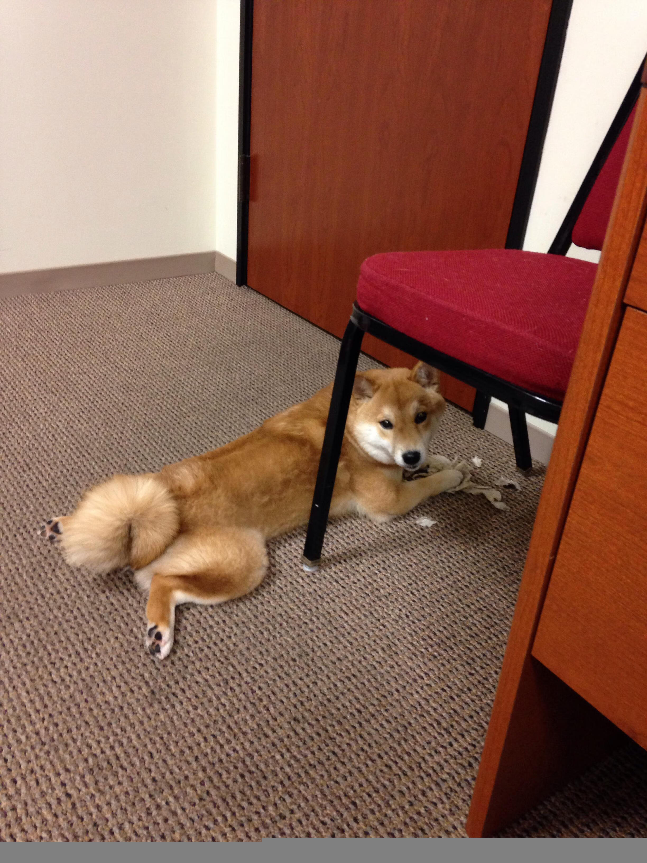 西决之夜，聚光灯下，门迪的舞台从不颤抖