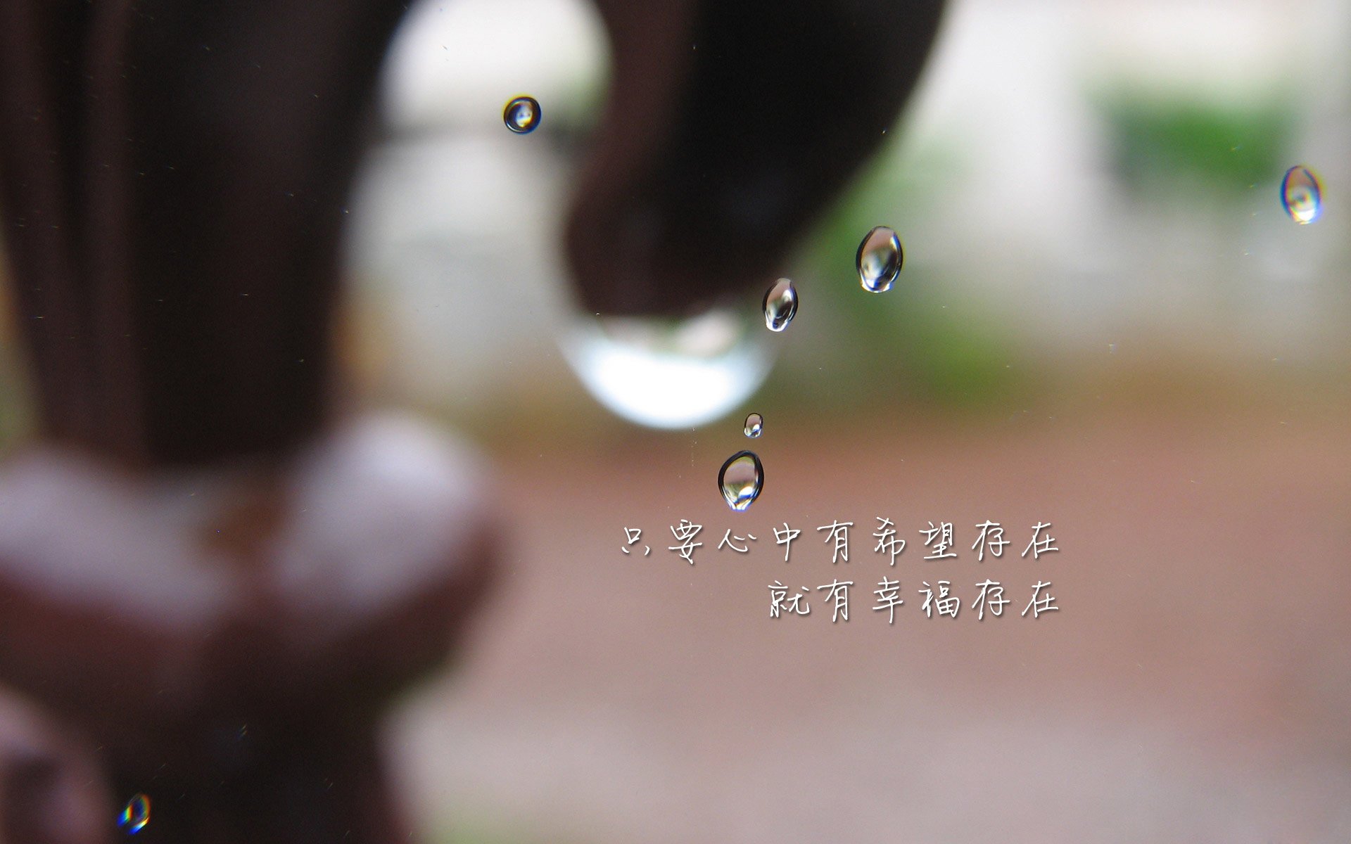 硝烟中的孤勇者,2026世界杯D组,罗马尼亚险胜厄瓜多尔,萨内如何用一战定义唯一